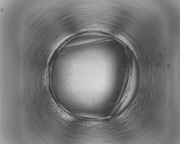 X0000059101076200510211626