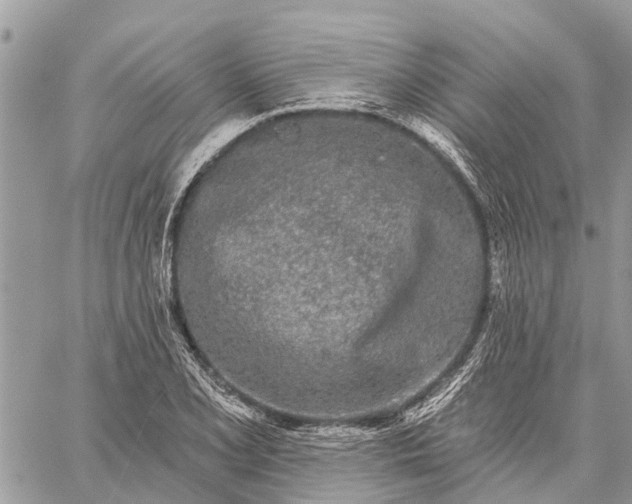 X0000059101077200510211626