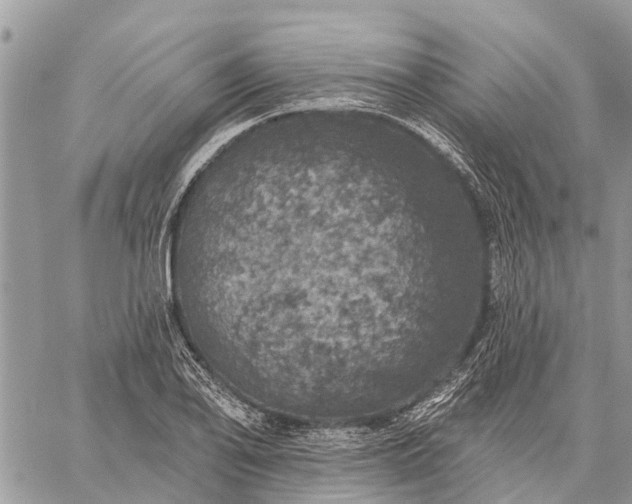 X0000059101078200510211626