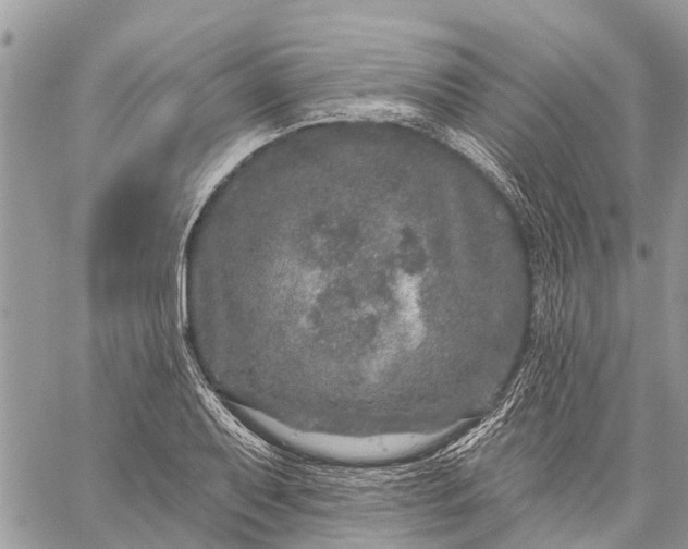 X0000059101079200510211626