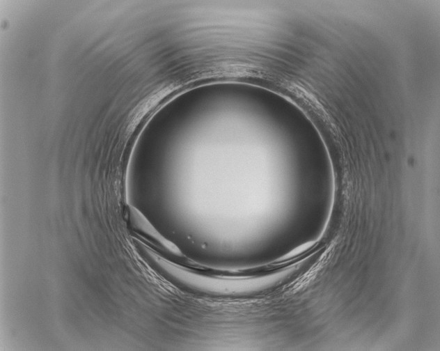 X0000059101081200510211626