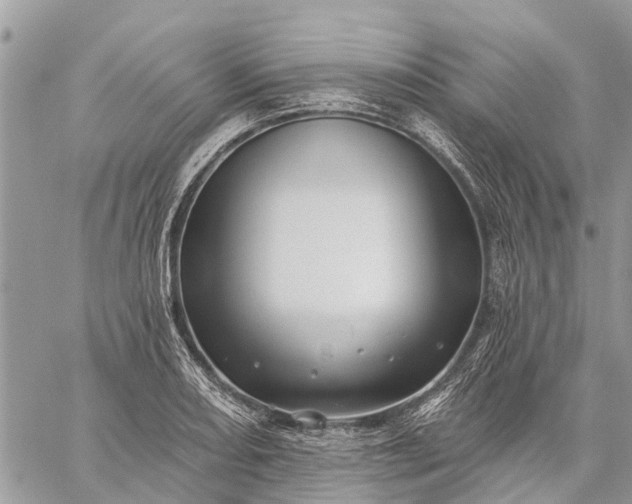 X0000059101082200510211626