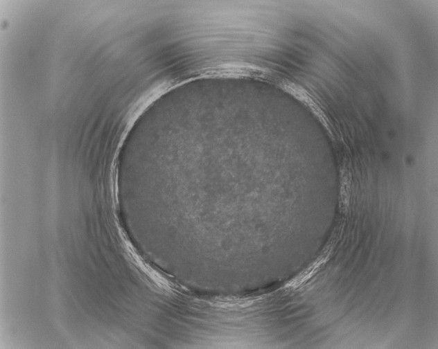 X0000059101083200510211626