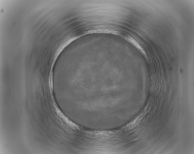 X0000059101084200510211626