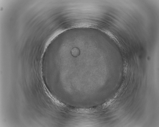 X0000059101086200510211626