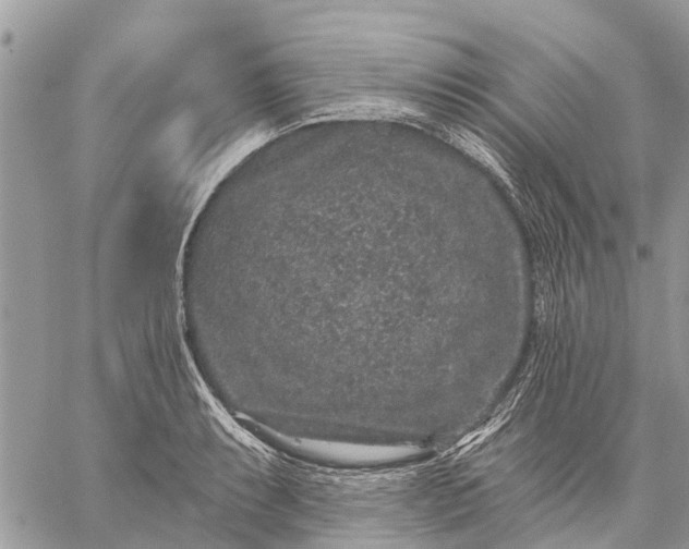 X0000059101087200510211626