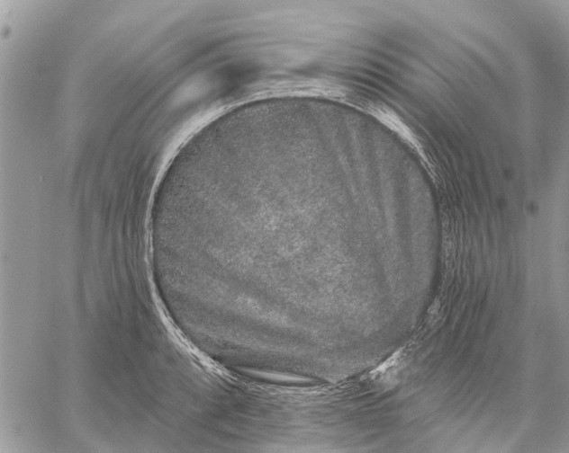 X0000059101088200510211626