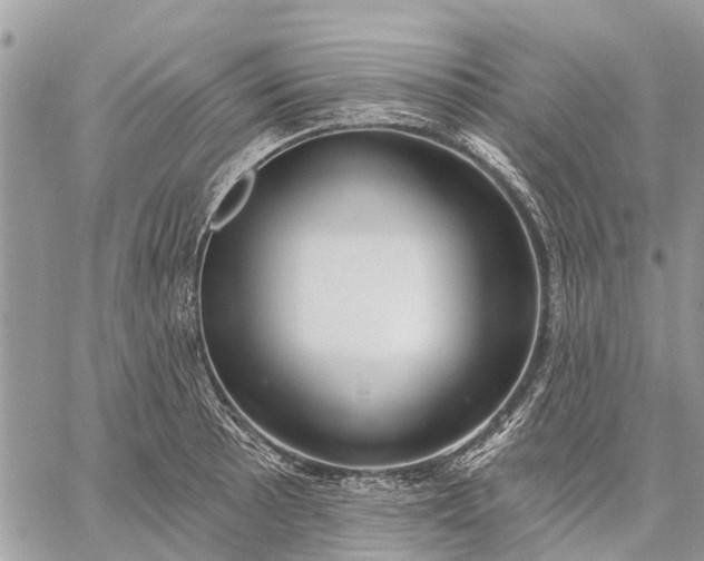 X0000059101089200510211626