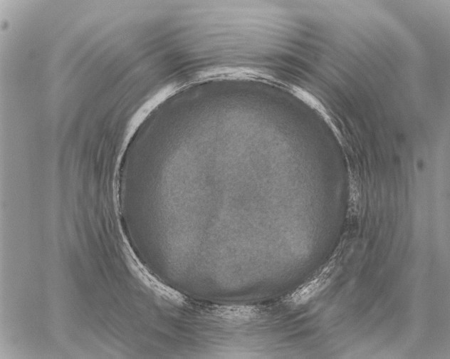 X0000059101090200510211626