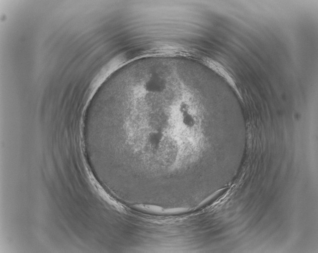 X0000059101091200510211626