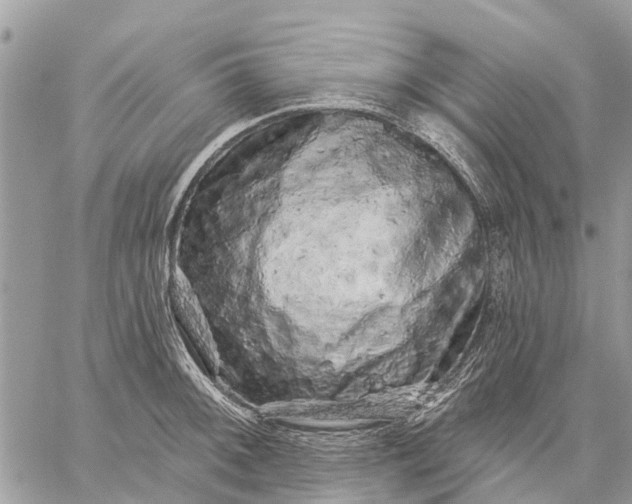 X0000059101092200510211626