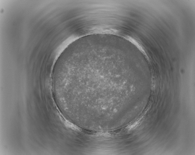 X0000059101094200510211626