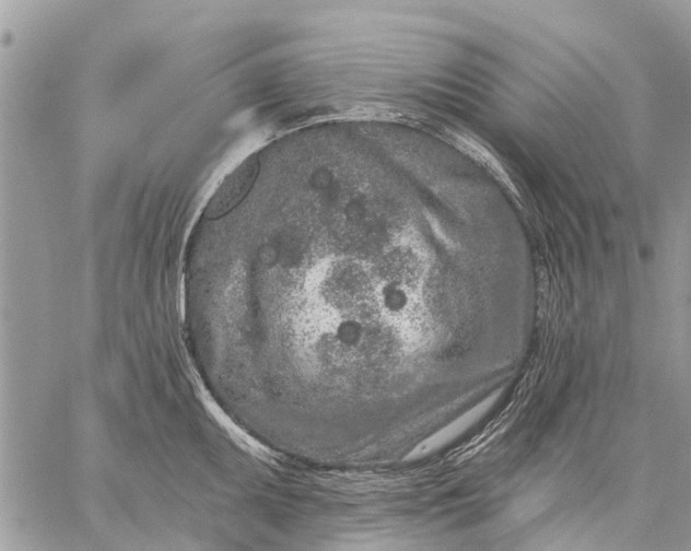 X0000059101095200510211626