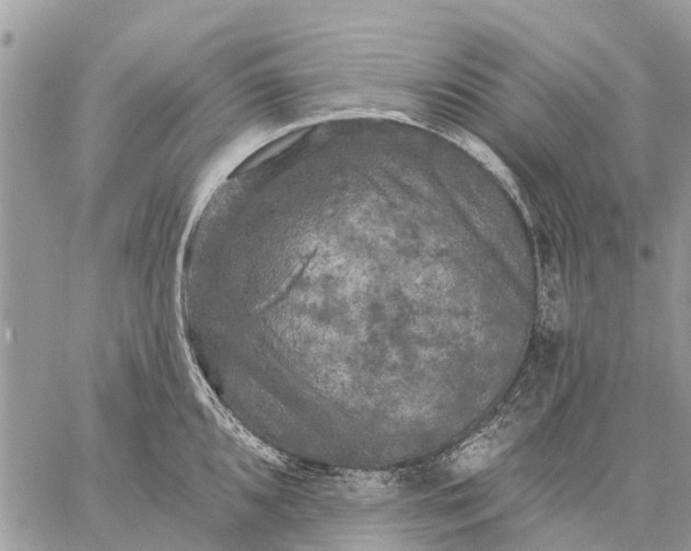 X0000059101096200510211626