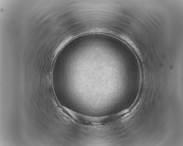 X0000059101097200510211626