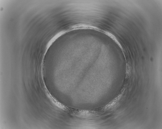 X0000059101098200510211626