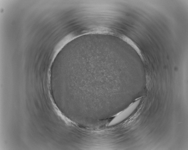 X0000059101099200510211626