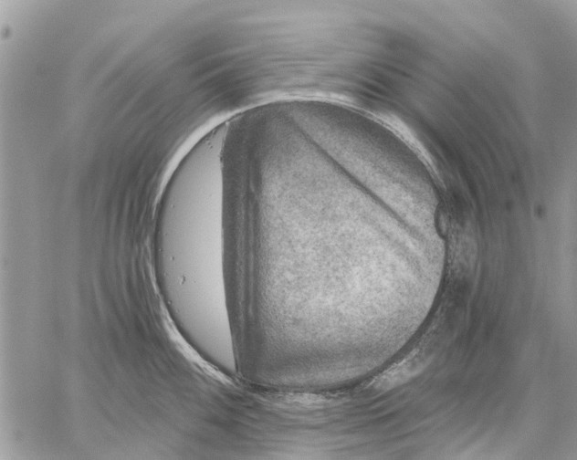 X0000059101100200510211626