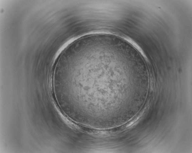 X0000059101101200510211626