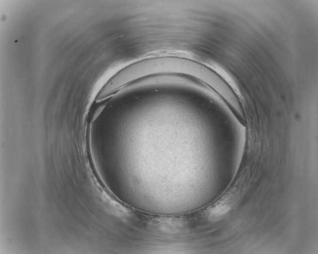 X0000059101102200510211626