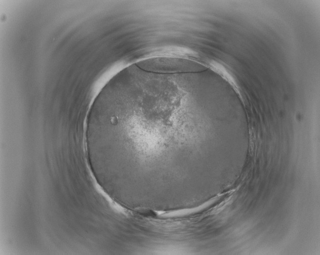 X0000059101103200510211626