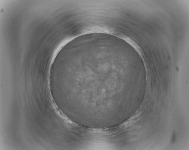 X0000059101104200510211626