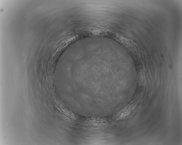 X0000059101105200510211625