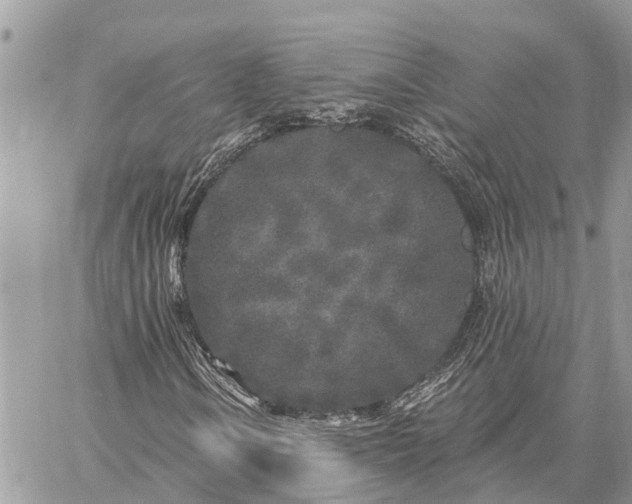 X0000059101106200510211625