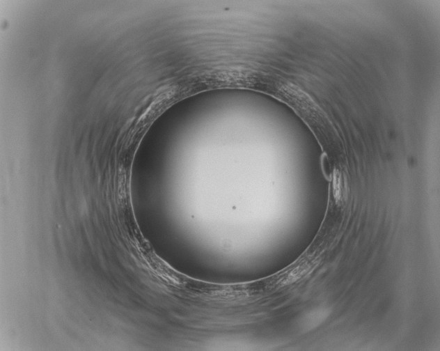 X0000059101107200510211625