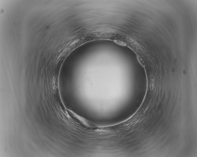 X0000059101108200510211625