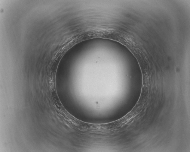 X0000059101109200510211625