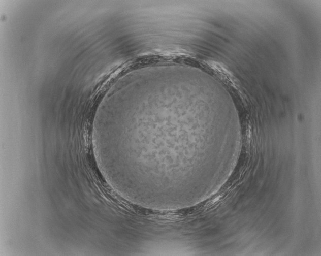 X0000059101110200510211625