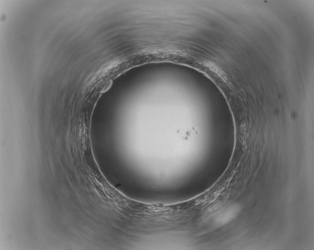 X0000059101111200510211625