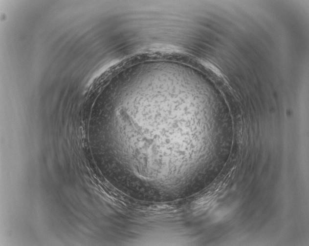 X0000059101112200510211625