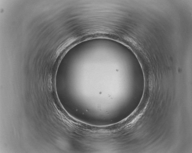 X0000059101113200510211625