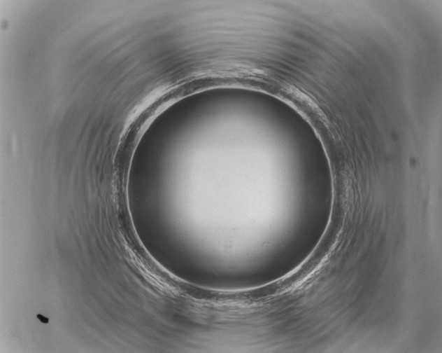 X0000059101114200510211625