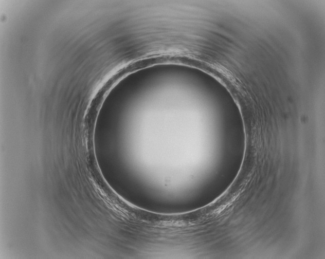 X0000059101118200510211625