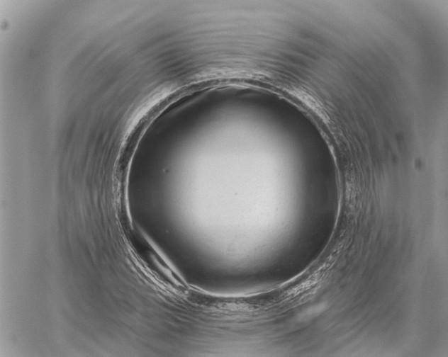 X0000059101119200510211625