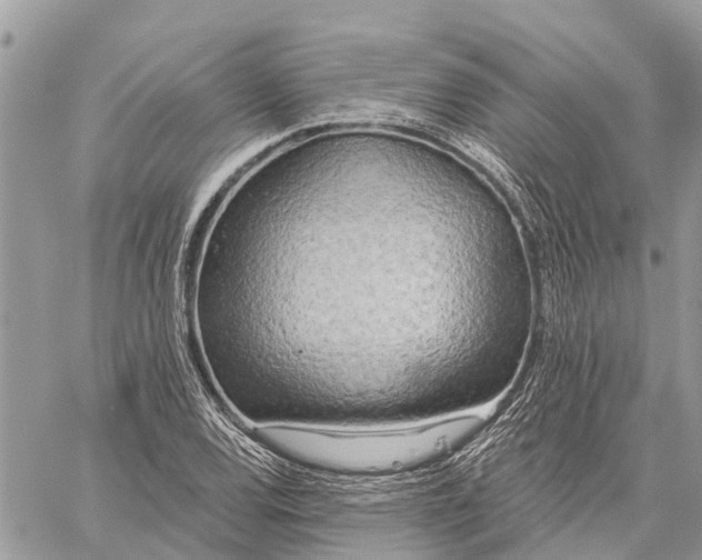 X0000059101120200510211625