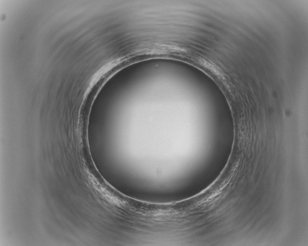 X0000059101122200510211625