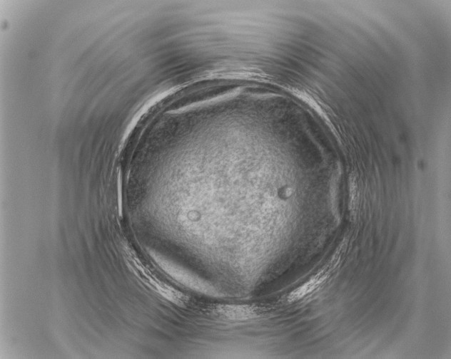 X0000059101123200510211625