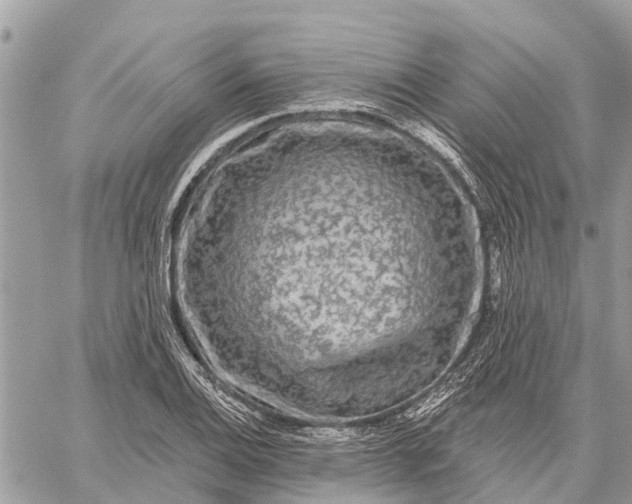 X0000059101124200510211625