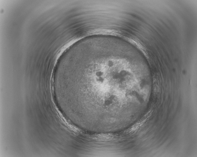 X0000059101125200510211625