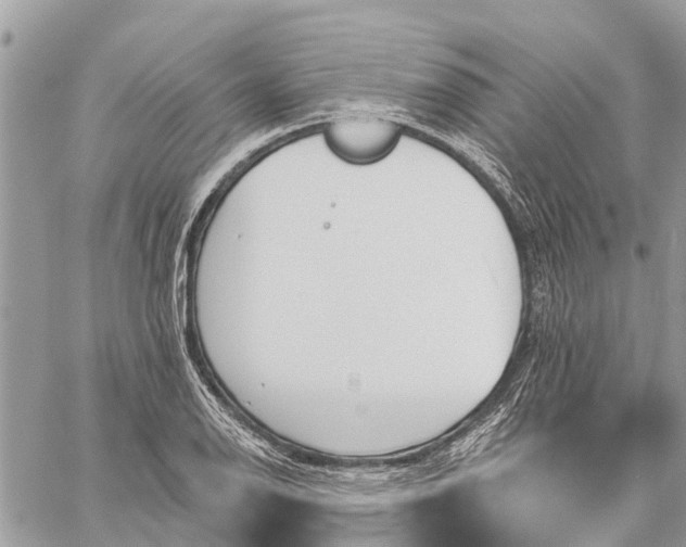 X0000059101126200510211625