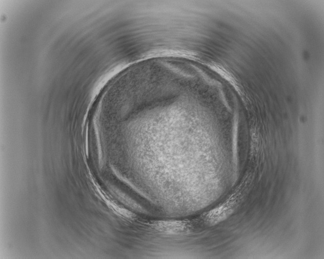 X0000059101127200510211625