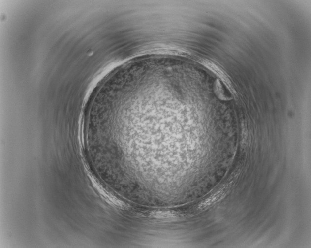 X0000059101128200510211626