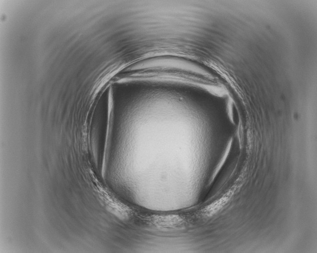 X0000059101129200510211626