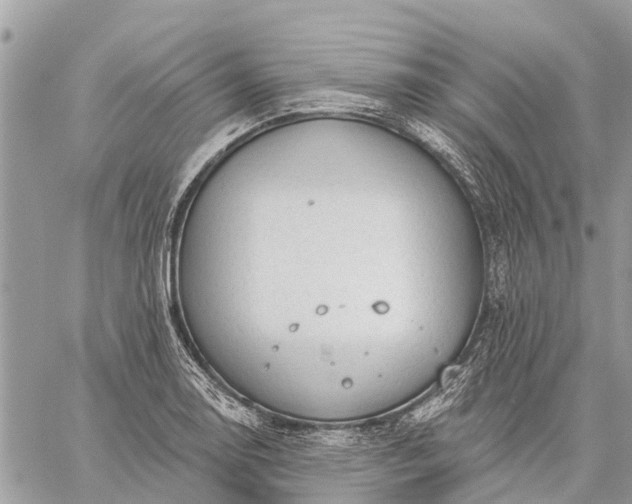 X0000059101130200510211626