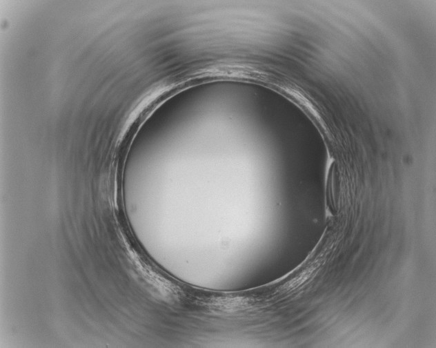 X0000059101131200510211626