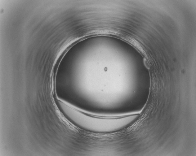 X0000059101132200510211626